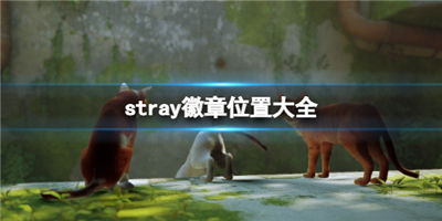 迷失手游stray徽章哪里可以找到徽章找寻具体的位置