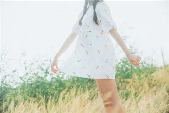 草莓黄瓜丝瓜香蕉秋葵向日葵下载:草莓黄瓜绿巨人丝瓜向日葵精简版下载