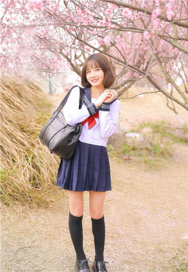 菠萝菠萝蜜视频高清观看在线：菠萝菠萝蜜视频高清观看在线下载入口