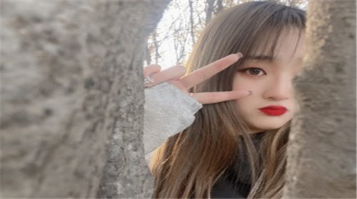 海棠直播app最新版：一个永远看不腻的直播平台