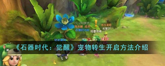 石器时代觉醒宠物转生怎么开启 宠物转生开启方法介绍