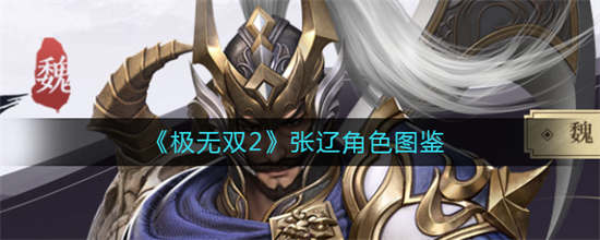 极无双2张辽怎么样张辽介绍