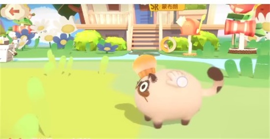 猫咪公寓2天赋撸猫怎么玩 天赋撸猫玩法攻略