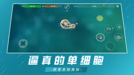 美味星球正版