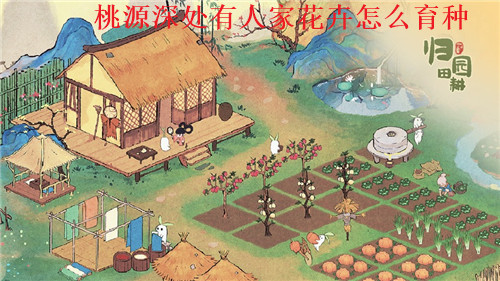 桃源深处有人家花卉怎么育种 桃源深处有人家花卉育种配方大全