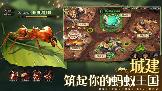小小蚁国怎么互水 小小蚁国互水攻略