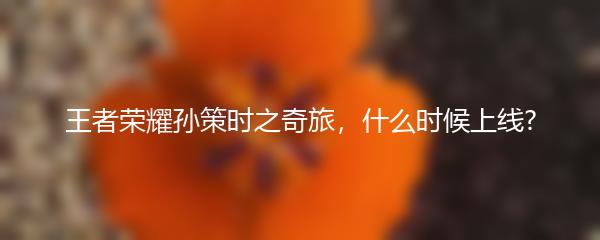 王者荣耀孙策时之奇旅什么时候上线