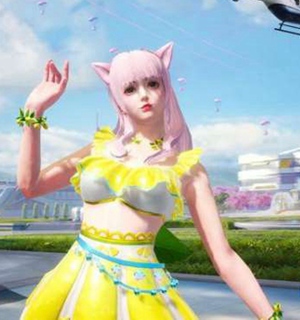 和平精英最新女生捏脸代码有哪些 最新女生捏脸代码分享