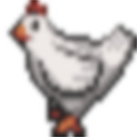 小鸡护卫队解锁版  v1.2.3