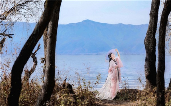 茄子丝瓜草莓榴莲石榴安卓版：视频资源都可以无限点播的手机软件