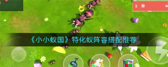 小小蚁国特化蚁阵容怎么搭配特化蚁阵容搭配方式