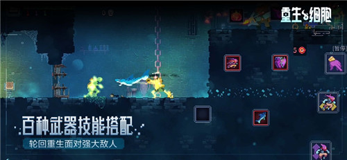 重生细胞正版免费下载