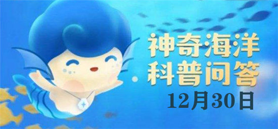 神奇海洋12月30日问题答案-以下哪项是海鸥的特殊本领