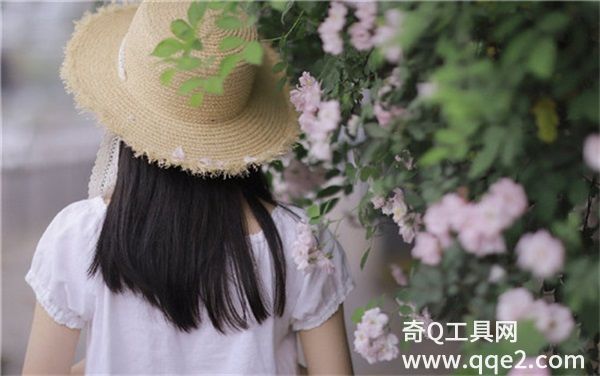 丝瓜草莓向日葵芭乐黄瓜小猪鸭脖幸福宝：都能轻松满足用户们个性化体验