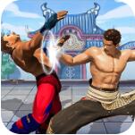 王牌格斗家安卓解锁版 V1.0.0