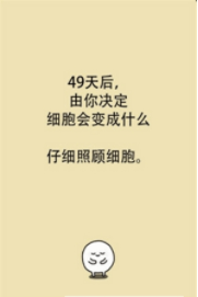 我的49天与细胞手游安卓版
