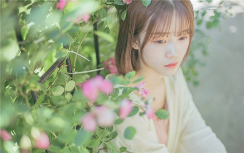 丝瓜芭乐荔枝秋葵免费汅：丝瓜芭乐荔枝秋葵免费汅下载地址