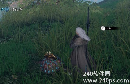 下一站江湖2王龟在哪 下一站江湖2王龟位置一览