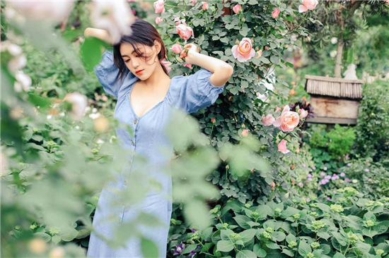 向日葵丝瓜草莓芭乐小猪下载:小蝌蚪视频丝瓜视频小猪视频无限观看下载