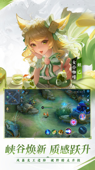 王者荣耀单机版全皮肤