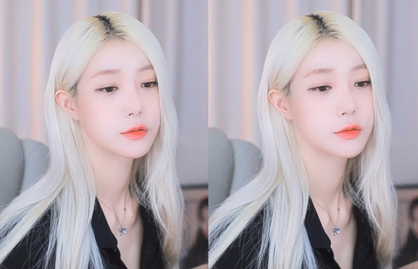 正能量软件不良网站免费不需要下载：可以直接进入正能量网站仙踪林