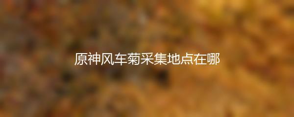 原神风车菊采集地点在哪