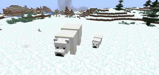 我的世界北极熊掉落物有什么 北极熊掉落物一览