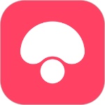 蘑菇街女装搭配下载