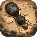 小小蚁国国际服官方版 1.31.0