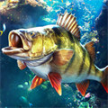 欢乐钓鱼大师正版下载免费安装最新版 V1.4