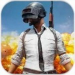 绝地求生破解版 v1.1.1