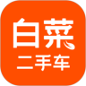 白菜二手车下载