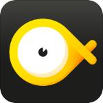 奇鱼旅行app2021安卓最新版