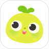 青柚子启蒙app最新版