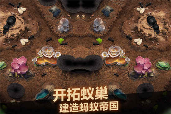 小小蚁国中文手机版下载