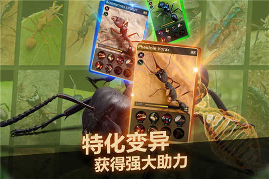 小小蚁国中文手机版下载