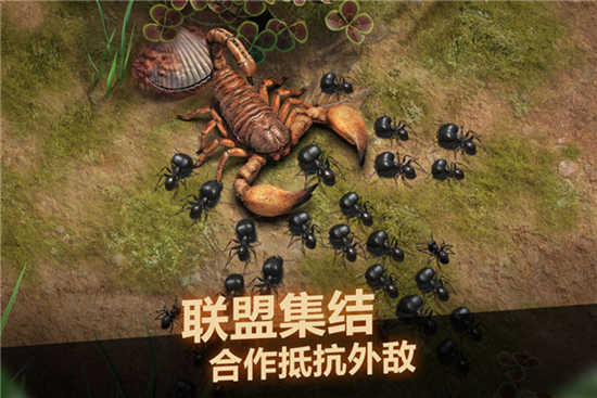 小小蚁国中文手机版下载