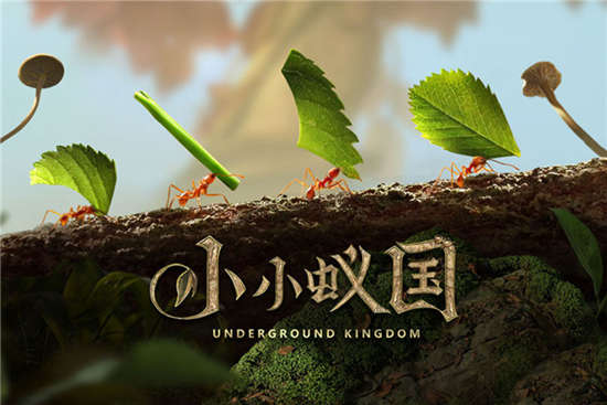 小小蚁国中文手机版下载