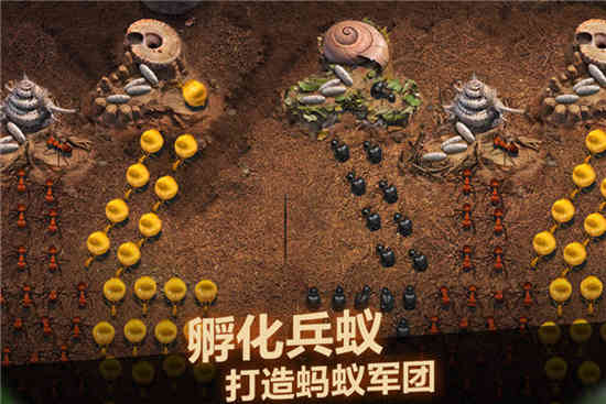 小小蚁国中文手机版下载
