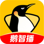 企鹅体育app下载