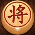大师象棋真人版