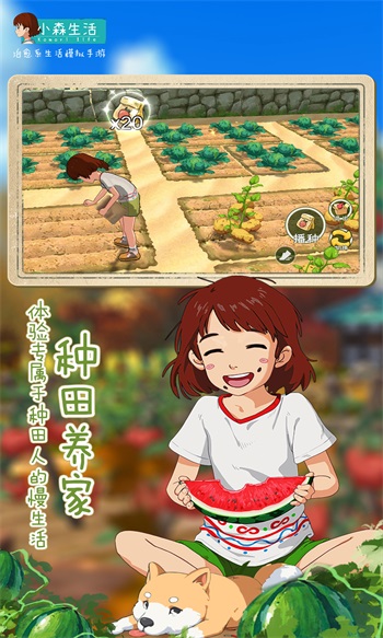 小森生活手游官网